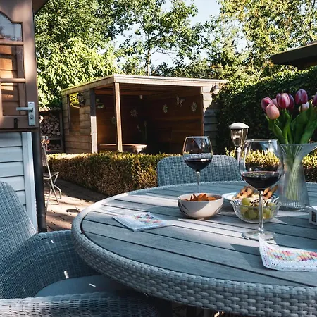 Sfeervol Boshuisje Met Jacuzzi Op De Veluwe *